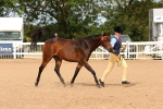 SBM_10253