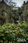 Bank Hall 7