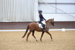 SBM_001830