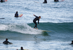 DSC_1087