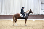 SBM_000208