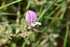 ACP_2341-1b