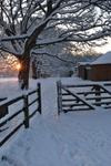 Through the gate.