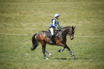 BVHT 140517  IXC -546
