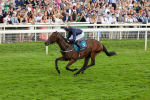 290723-Race 4-Blue Prince-3942