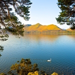 Swan Lake, Derwentwater and Catbells. EDC203.