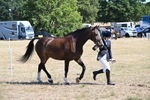 WJ6_8630