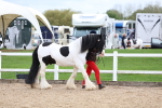 SBM_05808