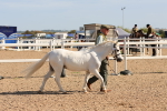SBM_17649
