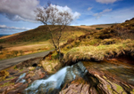 Towards Pen y Fan