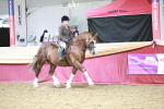SBM_08635