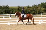 SBM_005740