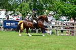 SBM_07906