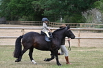 WJ7_9673