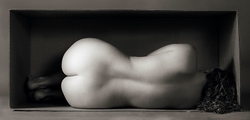 Palladium Prints by Ron Reeder portfolio