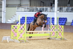 SBM_000958