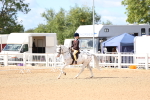 SBM_10811