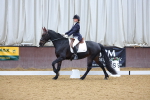 SBM_000991