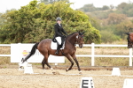 Class 5 - P3 Championship 12.05-13.29 portfolio