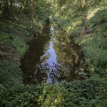 Shortwood Tunnel
