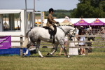SBM_17704