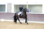 SBM_000699