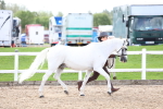 SBM_02443