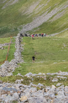 Ennerdale-657