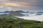 Allan Bay and Hoopers Inlet Otago Peninsular