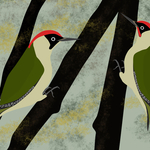 Green woodpeckers