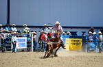 3HRodeo8-11-25_PRCASteer_03347_