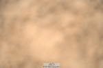 240317A-104142-04989