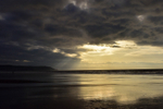 ACP_8961-1