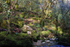 Valley Side