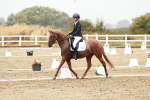SBM_003956