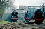 4th April 2009