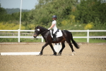 SBM_008732