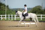 SBM_007391