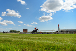 080726-Race 5-Sugarpiehoneybunch-6184