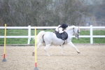 SBM_004006