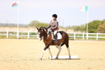 SBM_008004