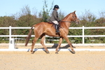 3E7A5170