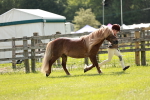 SBM_01807