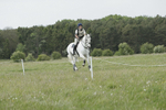 BVHT 140517  NXC -153