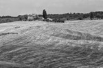 Tuscan Farm