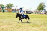 SBM_17233