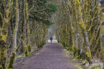 Kielder Ultra-1054