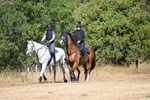 WJ6_8315