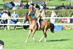 SBM_50372