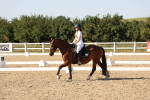 SBM_006971